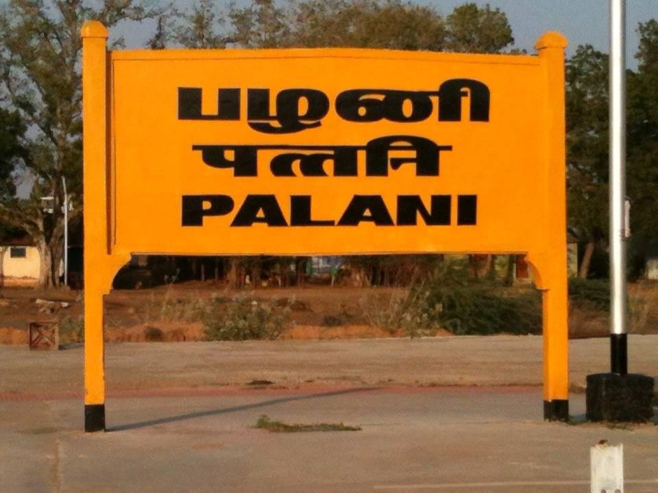 பழனியில் பொதுவெளியில் மனித கழிவுகளை வெளியேற்றுவதால் சுகாதார சீர்கேடு ஏற்படுவதாக பொதுமக்கள் குற்றச்சாட்டு.!