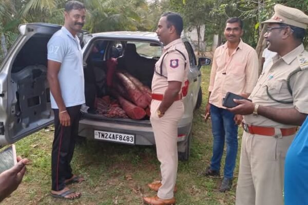 திருப்பத்தூர் அருகே காரில் கடத்தி வரப்பட்ட பல லட்சம் ரூபாய் மதிப்பிலான 6 செம்மரக்கட்டைகள் காருடன் பறிமுதல்.ஒருவரை கைது செய்து போலீசார் வனத்துறையிடம் ஒப்படைப்பு.