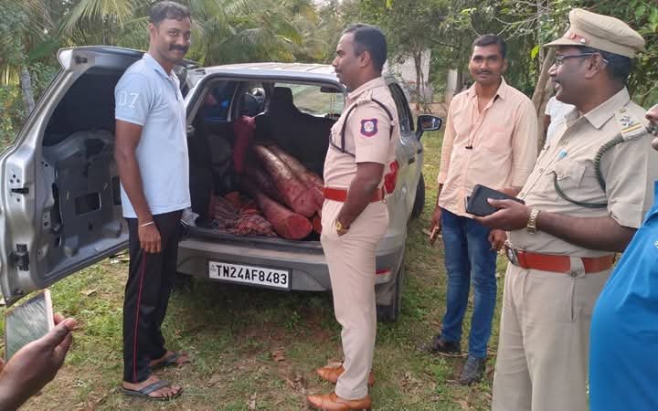 திருப்பத்தூர் அருகே காரில் கடத்தி வரப்பட்ட பல லட்சம் ரூபாய் மதிப்பிலான 6 செம்மரக்கட்டைகள் காருடன் பறிமுதல்.ஒருவரை கைது செய்து போலீசார் வனத்துறையிடம் ஒப்படைப்பு.