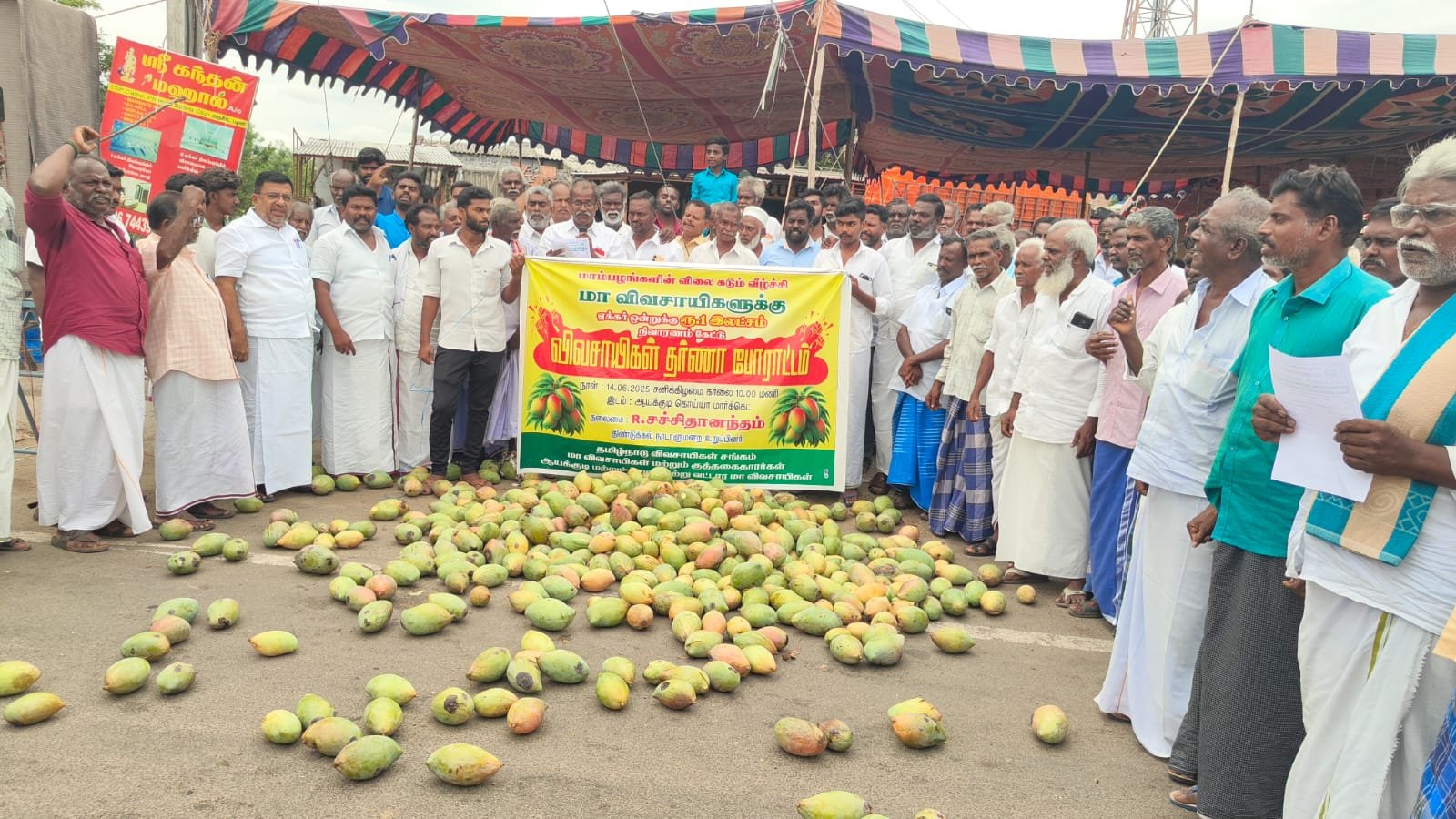 பழனி அருகே ஆயக்குடியில் மாங்காயை சாலையில் கொட்டி போராட்டம்.