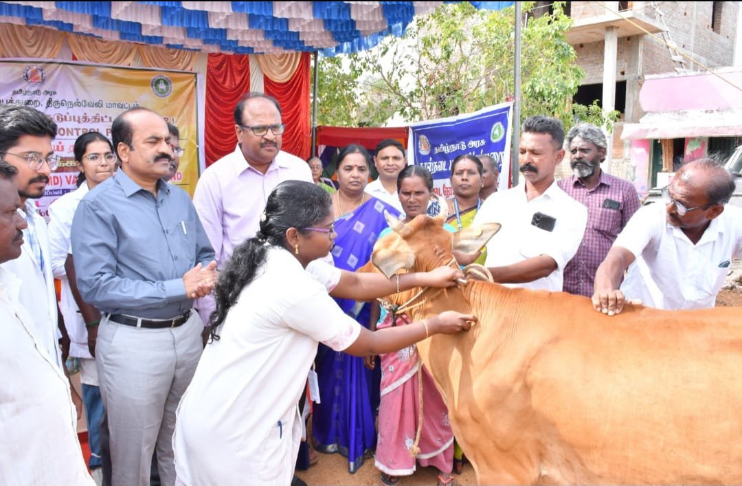 திருநெல்வேலி மாவட்டம், சேரன்மகாதேவி கனியன் குளம் கிராமத்தில், கால்நடைகளுக்கு தடுப்பூசி போடும் சிறப்பு முகாமினை துவக்கி வைத்த, மாவட்ட ஆட்சித்தலைவர்!