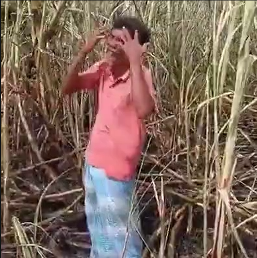 கடலூர் மாவட்டம் பண்ருட்டி எஸ்கே பாளையத்தில் கரும்பு தோட்டத்தில் தீ வைப்பு : கதறி அழுத விவசாயி !