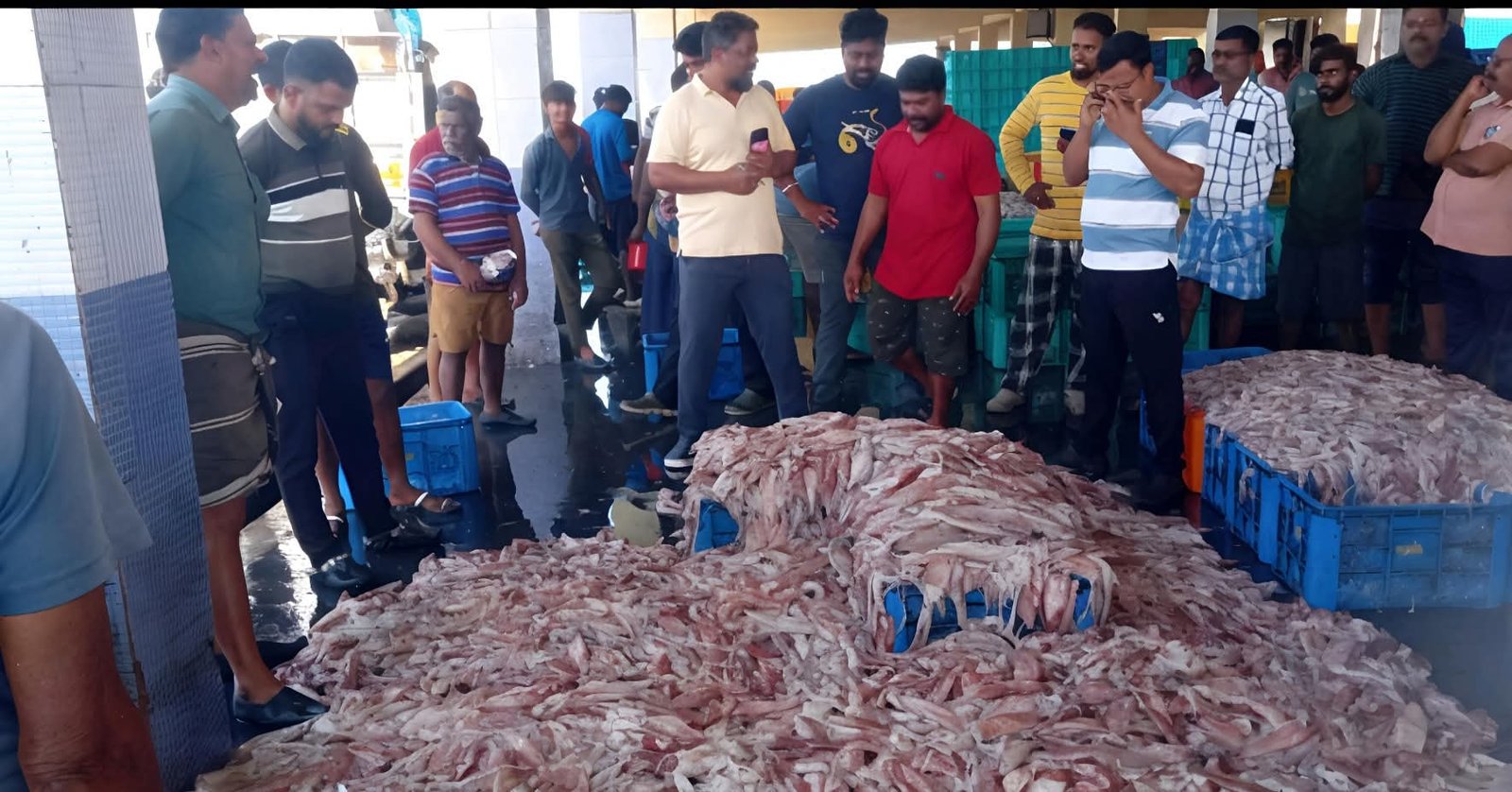 குளச்சலில் விசைப்படகுகளில் கணவாய் மீன்கள் குவிந்தது :