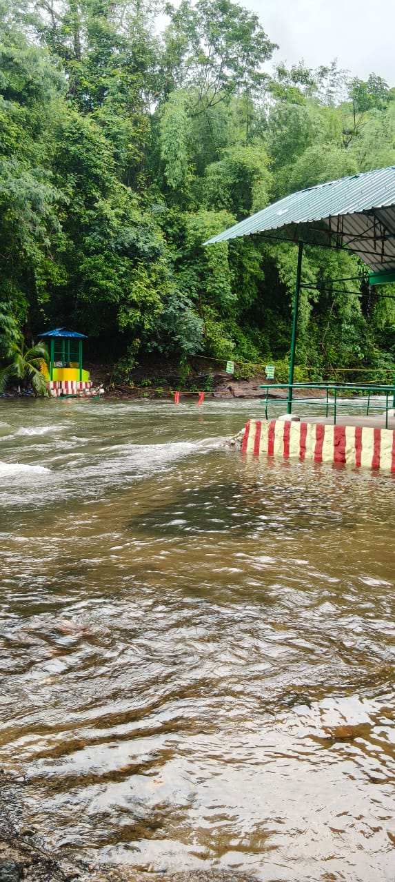 காளிகேசம் ஆற்றில் சுற்றுலா பயணிகள் குளிக்க தடை – வனத்துறை அறிவிப்பு..!