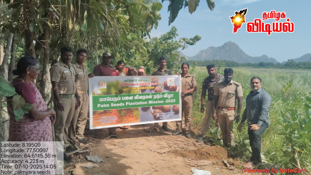 ராமாபுரத்தில் 2,000 பனை விதைகள் நட்டு விழா..வனத்துறை – கிராமபஞ்சாயத்து இணைந்து சுற்றுச்சூழல் பாதுகாப்பு நடவடிக்கை..!