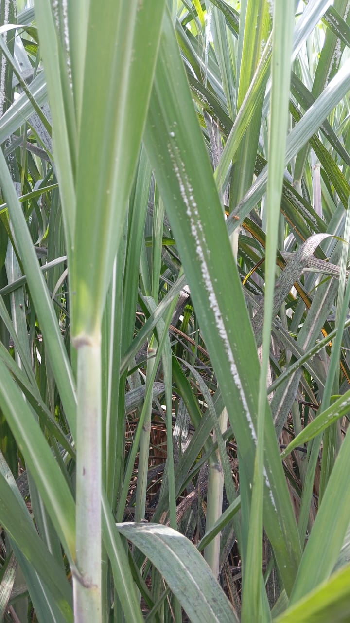 விவசாயிகளுக்கு ஒரு அன்பான வேண்டுகோள்..