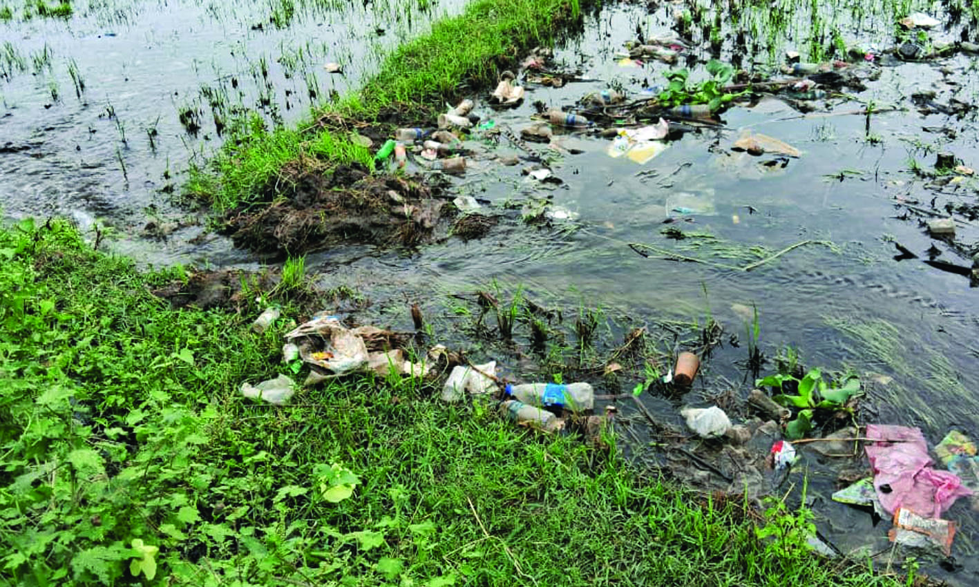 வாய்க்கால் வழியாக வயல்களில் குவியும் பிளாஸ்டிக் கழிவுகள்..