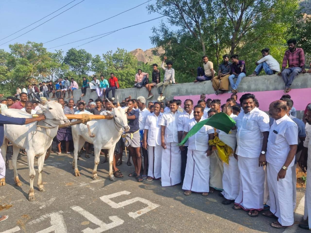 நாகர்கோவில் மாநகராட்சி மேயர் மகேஷ் மாட்டுவண்டிப் போட்டியைத் தொடங்கி வைத்தார்