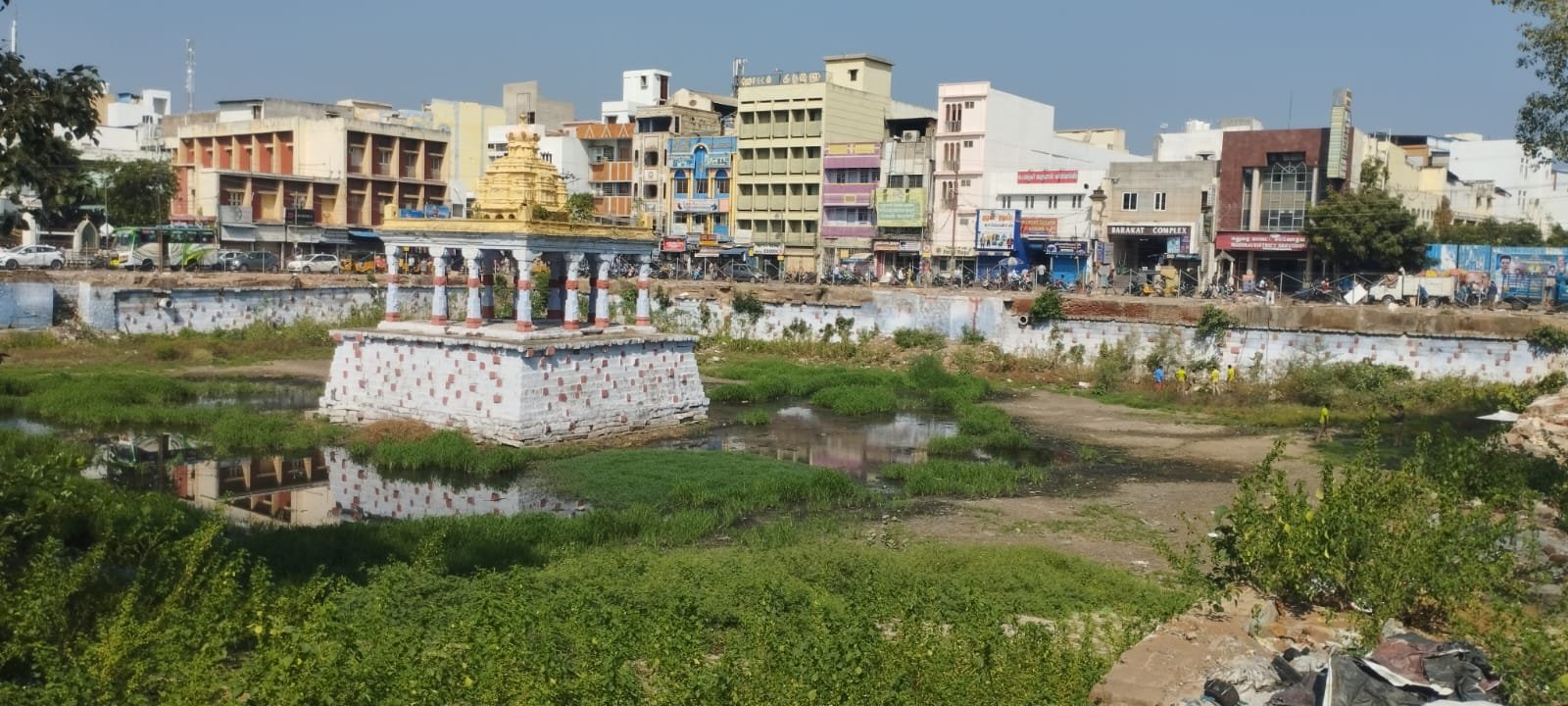 மதுரையில் தெப்பக்குளத்தில் தவறி விழுந்த பசுமாடு உயிருடன் மீட்ட காவல் துறை மற்றும் தீயணைப்பு துறை