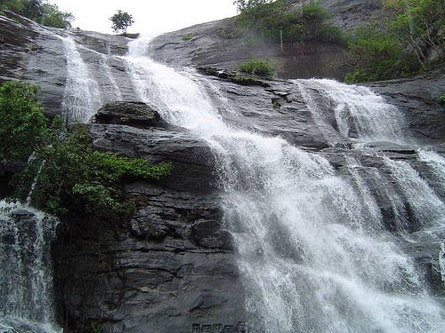 குற்றாலம் அருவிகளில் சீரான நீர்வரத்து; சுற்றுலாப் பயணிகள் வருகை அதிகரிப்பு