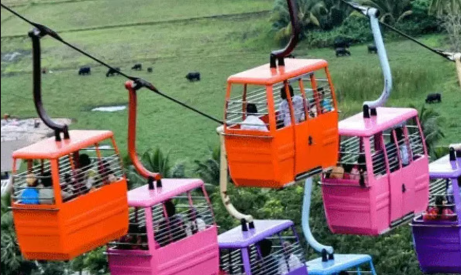 பழனி தண்டாயுதபாணி சுவாமி கோயிலில் செப்டம்பர் 12 முதல் ரோப்கார் சேவை மீண்டும் தொடக்கம்!