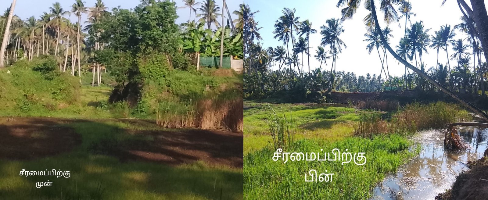 விடுதலைச் சிறுத்தைகள் கட்சியின் கோரிக்கையைத் தொடர்ந்து ஊத்துக்குளி குளக்கரை சீரமைப்பு! கட்சியின் கோரிக்கையைத் தொடர்ந்து ஊத்துக்குளி குளக்கரை சீரமைப்பு!